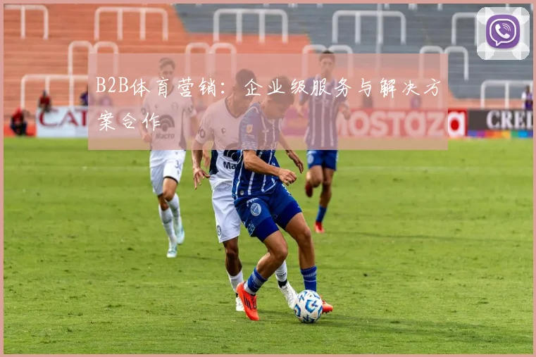 B2B体育营销:企业级服务与解决方案合作