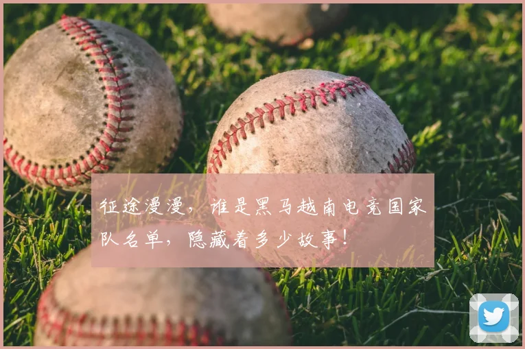 征途漫漫，谁是黑马越南电竞国家队名单，隐藏着多少故事！