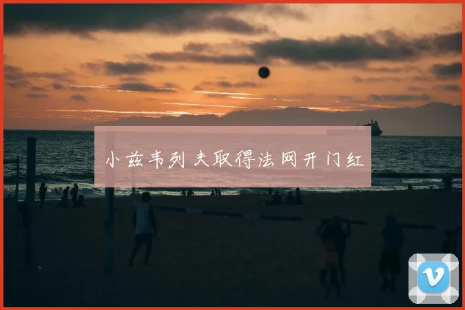 小兹韦列夫取得法网开门红