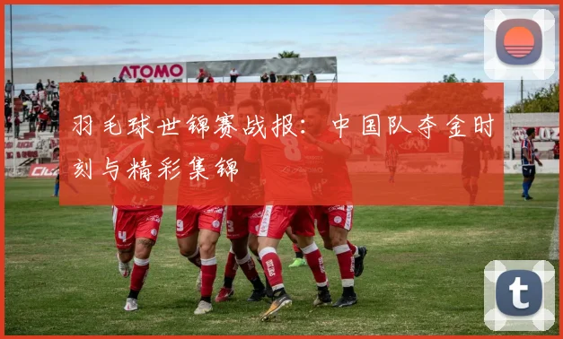 羽毛球世锦赛战报:中国队夺金时刻与精彩集锦