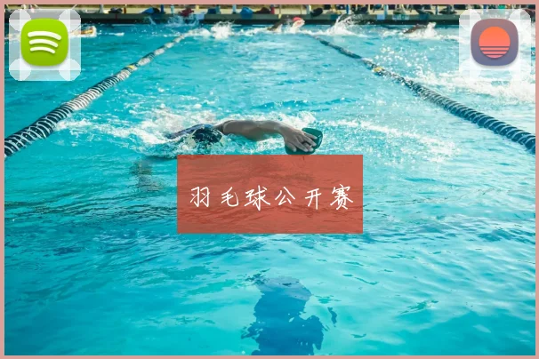 羽毛球公开赛